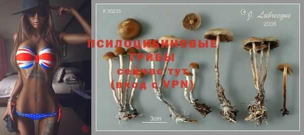 альфа пвп Краснотурьинск
