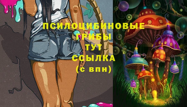 трава Лабытнанги