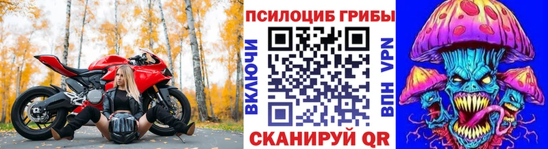 Галлюциногенные грибы Psilocybine cubensis Белореченск